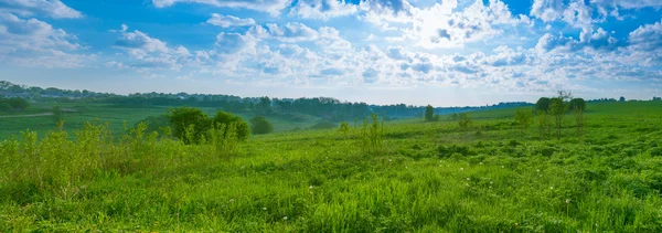 Panorama landscape sunlit green field and blue sky — Stok Foto