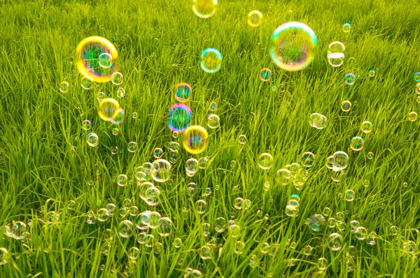 Naturliga bakgrund såpbubblor — Stockfoto