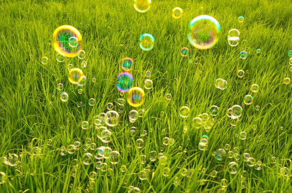 Bolhas de sabão de fundo natural — Fotografia de Stock