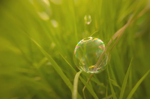 Natural background bubble lies on grass — Stock Photo, Image