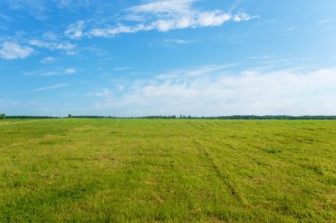 arka planı yeşil ekili alan takımıdır bitkileri ve mavi gökyüzü ile 