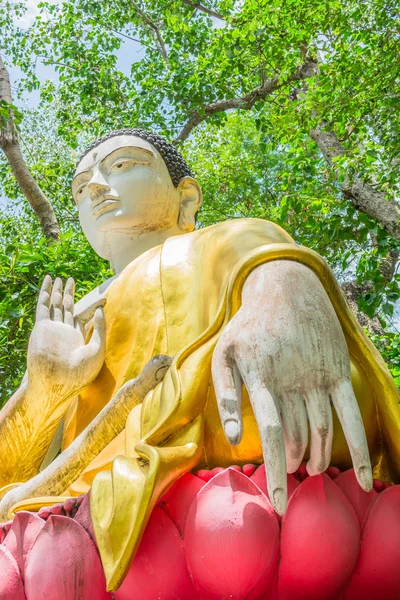 Escultura buddha sob a grande árvore verde — Fotografia de Stock