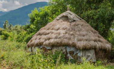 kahverengi kuru pirinç saman yığını