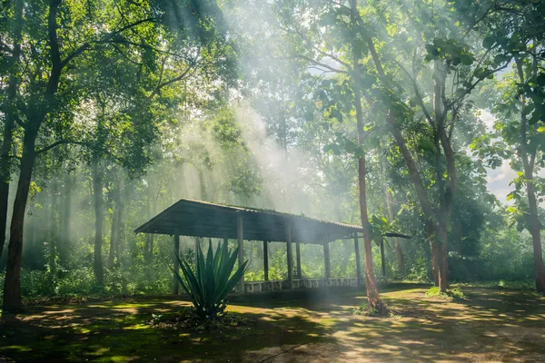 Hut in het bos — Stockfoto