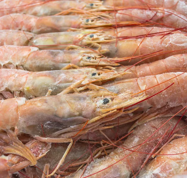 Gros Plan Sur Les Crevettes Rouges Crues Congelées Argentine — Photo