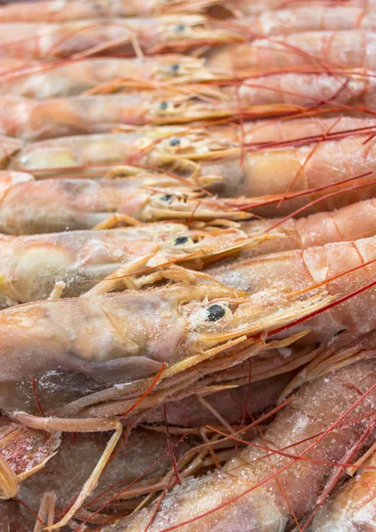 Gros plan sur les crevettes rouges crues congelées d'Argentine — Photo