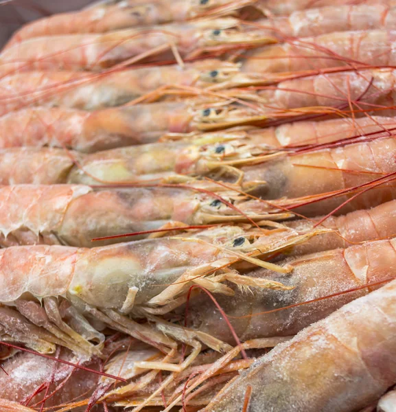 Gros plan sur les crevettes rouges crues congelées d'Argentine — Photo