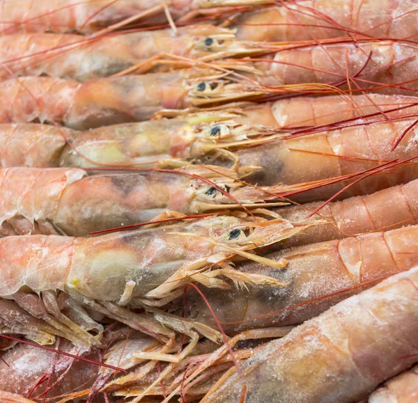 关闭原料冻阿根廷红虾 — 图库照片