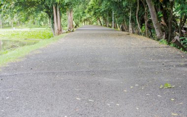 lakeside yolu asfalt ile yapılan