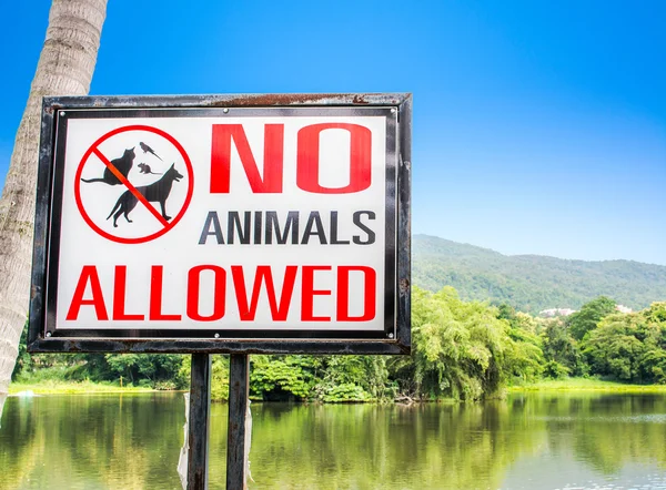 No pets allowed sign on gate in the park — Stock Photo, Image