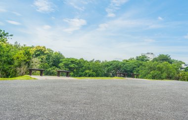 ahşap park bankında, bir orman