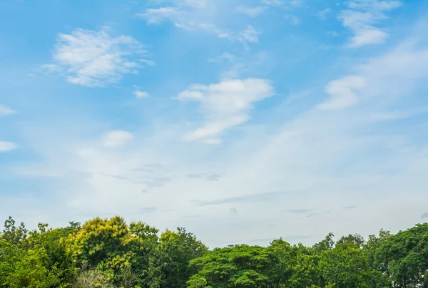 Пейзаж Горами Голубым Небом — стоковое фото