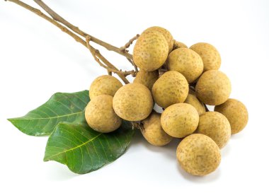 beyaz zemin üzerinde organik taze longan izole resim