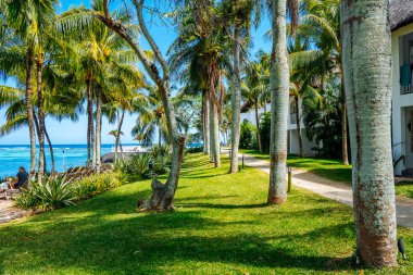 Tropik tatil köyü plaj cenneti. Deniz kıyısında yaz tatili. Muhteşem bir panoramik plaj manzarası. Mauritius adasında lüks bir tatil. Mavi gökyüzü palmiyeleri. 