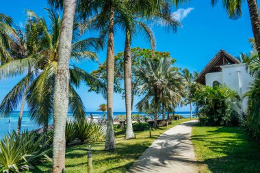 Tropik tatil köyü plaj cenneti. Deniz kıyısında yaz tatili. Muhteşem bir panoramik plaj manzarası. Mauritius adasında lüks bir tatil. Mavi gökyüzü palmiyeleri. 