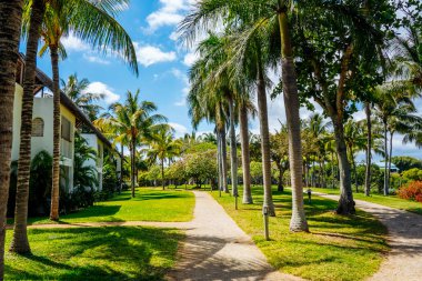 Tropik tatil köyü plaj cenneti. Deniz kıyısında yaz tatili. Muhteşem bir panoramik plaj manzarası. Mauritius adasında lüks bir tatil. Mavi gökyüzü palmiyeleri. 