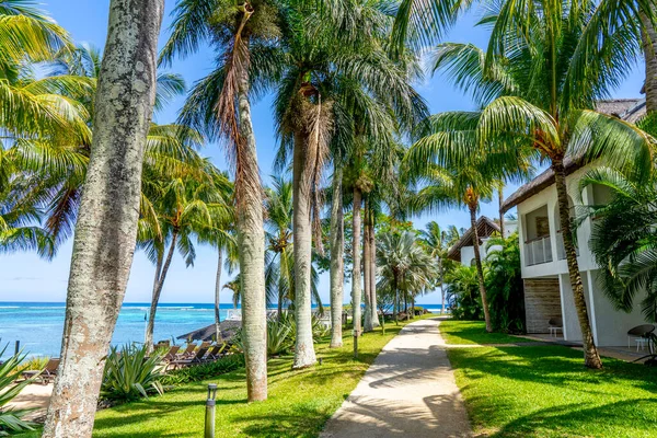 Tropik tatil köyü plaj cenneti. Deniz kıyısında yaz tatili. Muhteşem bir panoramik plaj manzarası. Mauritius adasında lüks bir tatil. Mavi gökyüzü palmiyeleri. 