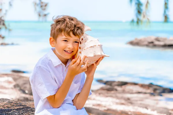 Un ragazzo che tiene e sente enorme grande conchiglia vicino all'orecchio sulla spiaggia tropicale estiva — Foto Stock