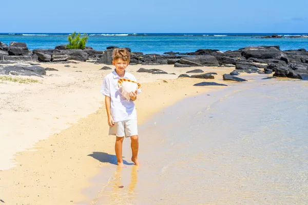 少年は熱帯のビーチで大きな貝殻を手に歩いている 高品質の写真 — ストック写真
