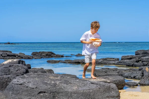 Chłopiec spacerujący z wielką muszlą w ręku na tropikalnej plaży. — Zdjęcie stockowe