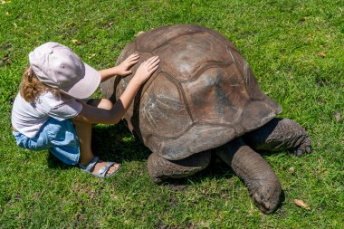 Kafkasyalı kız parkta büyük bir kaplumbağayı oynuyor, Mauritius Adası. Yüksek kalite fotoğraf