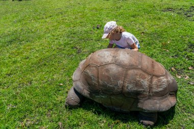 Kızın safari parkında dev kaplumbağayla oynaması. Mauritius Adası. Kaliteli fotoğraf
