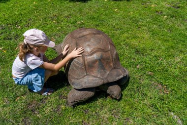 Kızın safari parkında dev kaplumbağayla oynaması. Mauritius Adası. Kaliteli fotoğraf