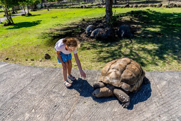 Close-up of the girls playing with giant turtle on the safari park. Mauritius island — Stockfoto