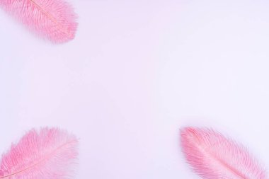 Açık gül arka planında renkli tüyleri olan estetik Paskalya pembe arka planı. Paskalya konsepti. Yaratıcı natürmort bileşimi