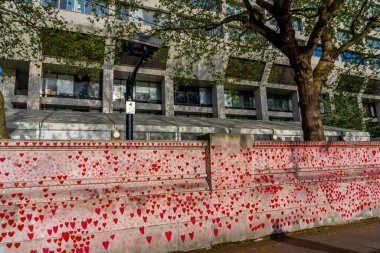 Westminster, Londra İngiltere - 20.04.2022: Covid kurbanlarının ölüm tarihleri ve isimleri ile kırmızı kalplerle boyanmış Ulusal COVID Anıt Duvarı.