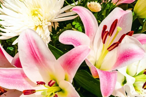 Nahaufnahme Eines Bunten Straußes Weiße Chrysanthemen Lila Und Weiße Lilienblüten — Stockfoto