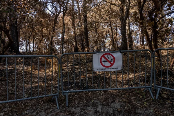 Teste Buch Frankreich 2022 Warnschild Rauchverbot Europa Französischer Waldgefahrenpark Verbotenes — Stockfoto