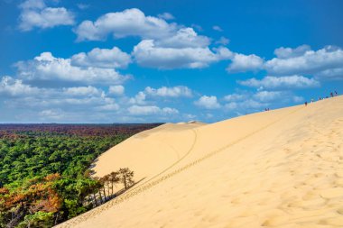 Fransa 'nın Aquitaine kentindeki Arcachon koyunda bulunan Pyla kumulunun orman manzarası. Yüksek kalite fotoğraf