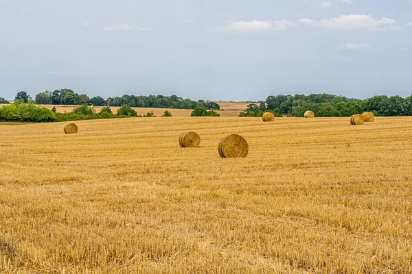 Field Golden Hay Bales French Countryside Sky Background High Quality — Fotografia de Stock