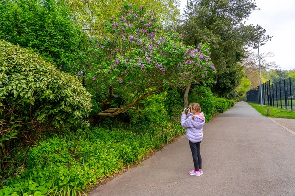 Bella Ragazza Una Foto Albero Ciliegio Parco Cittadino Una Giornata — Foto Stock