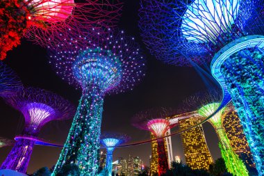 Singapur-24 Mayıs: supertree Grove Gardens Körfez gece görünümü üzerinde 24 Mayıs 2014 yılında Singapur. 101 Merkez Singapore, marina rezervuar bitişik geri arazi hektar genişleme