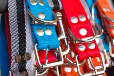 Fabrikadaki çeşitli renklerdeki evcil hayvanlar için tasma tokalarının ayrıntıları - alt