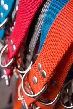 Fabrikadaki çeşitli renklerdeki evcil hayvanlar için tasma tokalarının ayrıntıları - üst