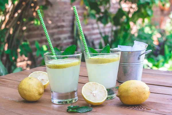 Glasses Lemonade Mint Ice Garden — Stok fotoğraf