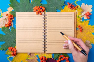 Boş çizgili bir el defteri üzerinde bir kalem tutan bir el sonbaharda dökülen kuru renkli yaprakların arka planında..