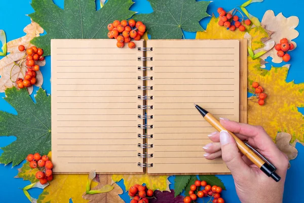Boş çizgili bir el defteri üzerinde bir kalem tutan bir el sonbaharda dökülen kuru renkli yaprakların arka planında..