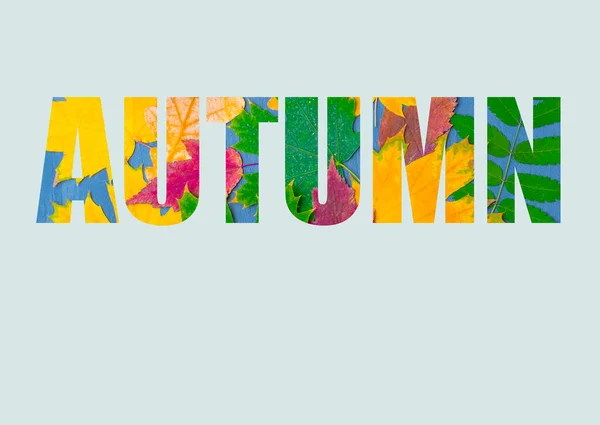 Het woord AUTUMN bestaat uit heldere, kleurrijke herfstbladeren van verschillende planten op een pastelblauwe achtergrond. — Stockfoto