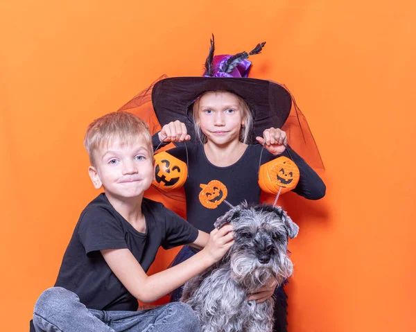 Una niña con un disfraz de bruja sosteniendo una cesta de brujas con dulces y un niño y un perro sobre un fondo naranja —  Fotos de Stock