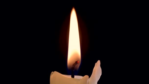 Close up de uma bela vela queimando isolado no fundo preto. O fogo queima e queima perfeitamente sem problemas — Vídeo de Stock