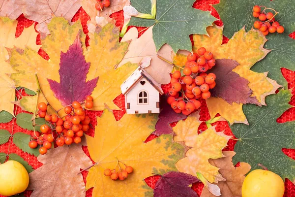Mały drewniany domek na czerwonym tle z czerwono-żółtymi liśćmi i pomarańczowymi jagodami. Dom jest symbolem rodziny i miłości. Wsparcie dla krewnych i przyjaciół jesienią. — Zdjęcie stockowe