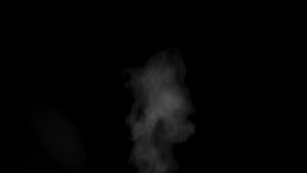 Vapor blanco, humo sobre un fondo negro para añadir a sus imágenes, primer plano, Full HD. Humo perfecto, vapor, fragancia — Vídeo de stock