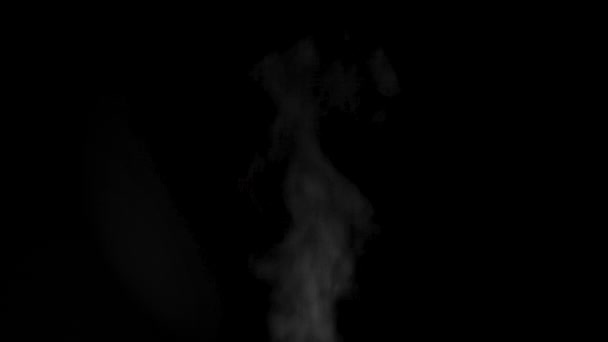 Vapor blanco, humo sobre un fondo negro para añadir a sus imágenes, primer plano, Full HD. Humo perfecto, vapor, incienso — Vídeos de Stock