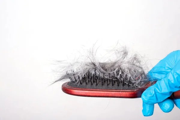 Saç dökülme problemi. Gri, koyu renk saçlı, arka planda taraklı yün, kopyalama alanı. İnsan alopecia kavramı.