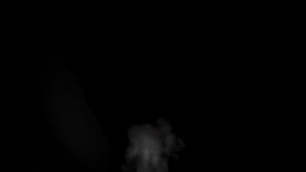 Fragmento de humo de vapor rizado caliente blanco aislado sobre un fondo negro, primer plano, Full HD. Fondo abstracto, elemento de diseño — Vídeos de Stock