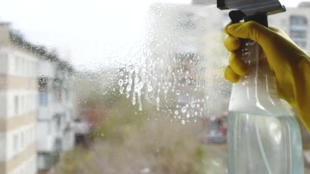 Sarı eldivenli bir el bir toz çözücü tutuyor köpüklü bir sıvıyı püskürtüyor, sprey şişesinden yıkarken cam camına dökülüyor. Ev, ofis temizliği konsepti. — Stok video